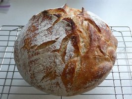Bread_1.jpg