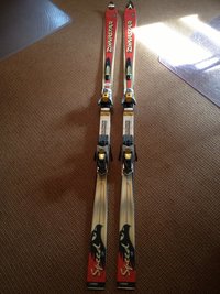 skis1.jpg