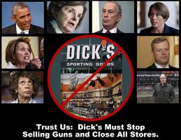 Dick's Must Stop Selling Guns.jpg