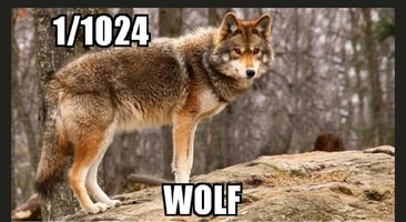 Cowolf.jpg