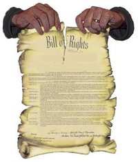 torn-bill-of-rights.jpg
