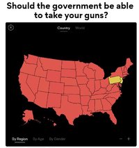 Govt Take Guns Poll.JPG