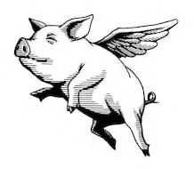 Flying Pig.jpg