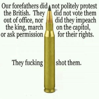 gunsforefathersjustshotthem.png