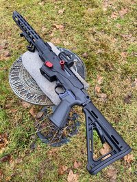 New Ruger PCC1.jpg