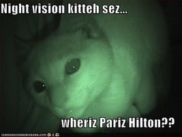 night-vision-kitteh-sez-wheriz-pariz-hilton.jpeg
