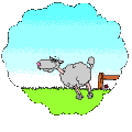 sheepjump.gif
