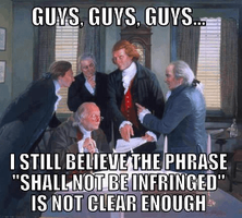 ShallNotBeInfringed.png