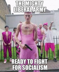 meme-mighty_liberal_army.png