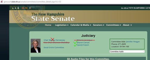 2020 NH Senate race judiciary results.jpg