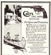 Colt Protection.jpg