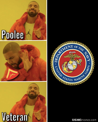 Poolee AD and vets.png
