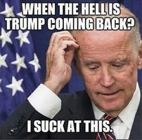 Biden Sucks.jpg