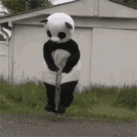 panda-pogo.gif