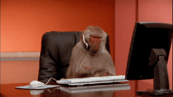 monkey-typing.gif