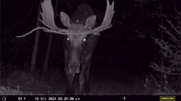 Screenshot 2021-11-29 at 10-53-55 Moultrie Mobile - Moultrie Mobile.png