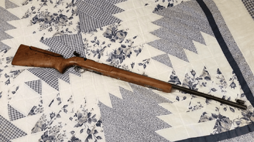 Remington 513T - full rifle_1600 x 900.png