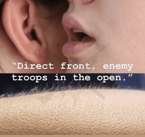 troops in the open.png