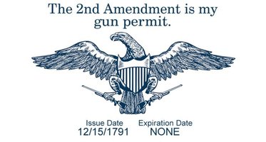 2nd-amendment-gun-permit-700x376-1.jpg