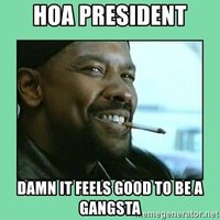 hoa-president-damn-it-feels-good-to-be-a-gangsta.jpg