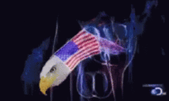 thank-you-for-your-service-seeds-of-freedom.gif