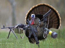 turkey-with-guns.jpg