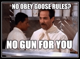Goose Rules.png