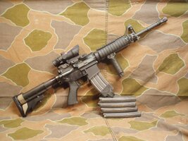 AR Rifle M4gery Camo.JPG
