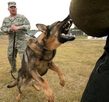 Dog_attack_(USAF).jpg