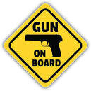 Gun on Board.jpg