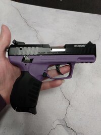 Ruger SR22 Purple (2).jpg