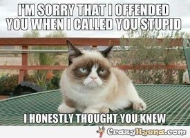 grumpy-cat-offend-stupig-meme.jpg