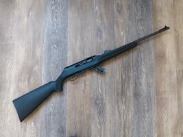 Remington 522 Viper ( 3218270) (2).jpg