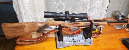 with scope mounted.jpg