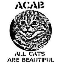 all_cats_are_beautiful.jpg