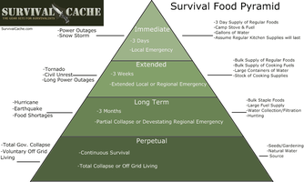 Food-pyramid.png