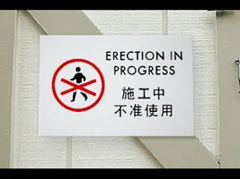 erection.jpg