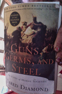 What+I%27m+Reading+Now,+Germs+Guns+&+Steel.jpg