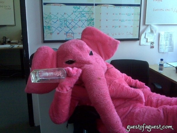 mr-pink-elephant.jpg