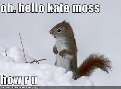 funny-pictures-squirrel-snow-kate-moss-stick.jpg