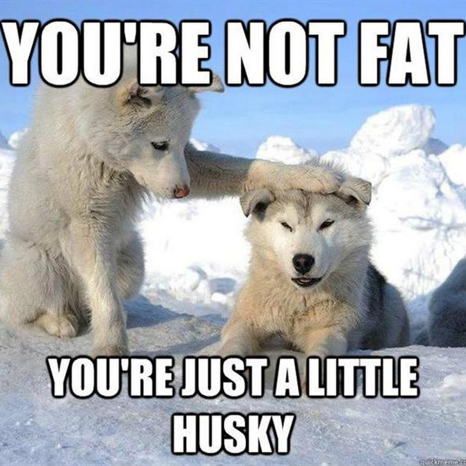 you're-not-fat-just-a-little-husky.jpg