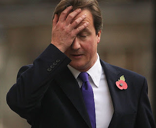 David+Cameron+-+hand+over+face.jpg