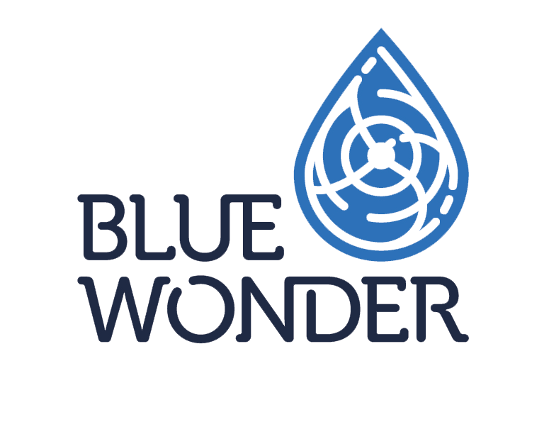 bluewonder.us