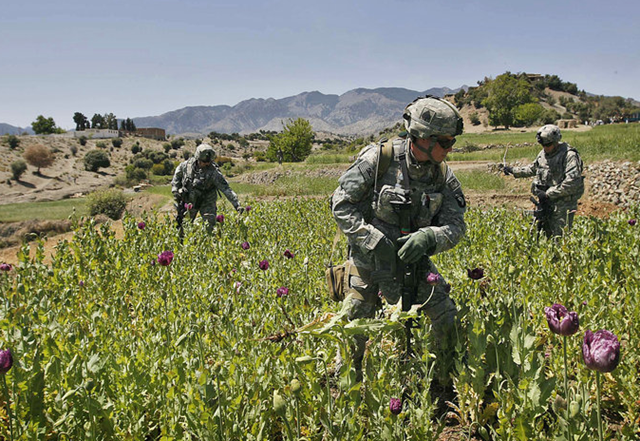 afghanistan-opium-fields%5B3%5D.png