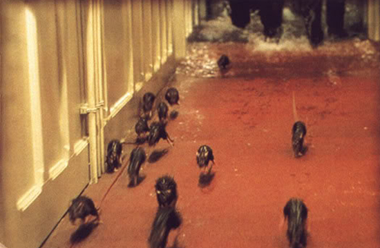 Rats-Running-Titanic-1.jpg