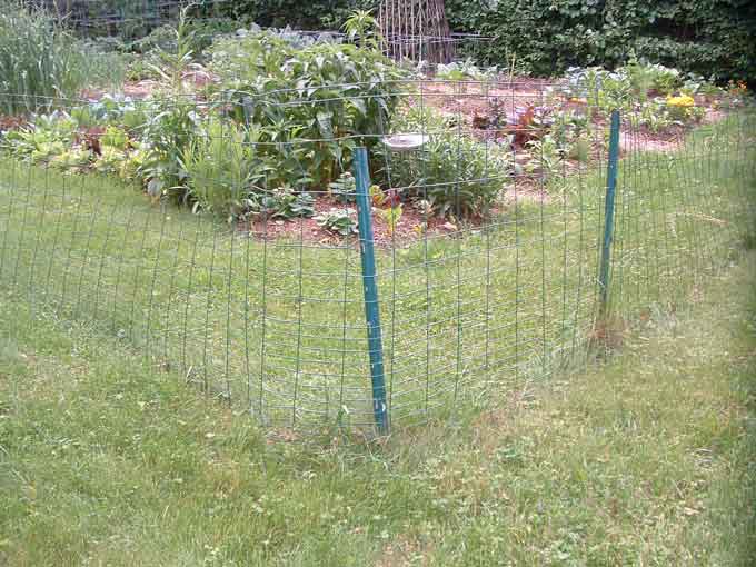 simple-garden-fence.jpg